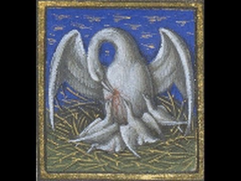 Parabole 51─La vieille outre et l’outre neuve: Dieu fait progresser notre âme en sainteté Mt 9, 17 /