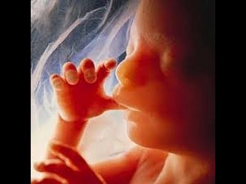 Bioéthique 16 —  L'eugénisme