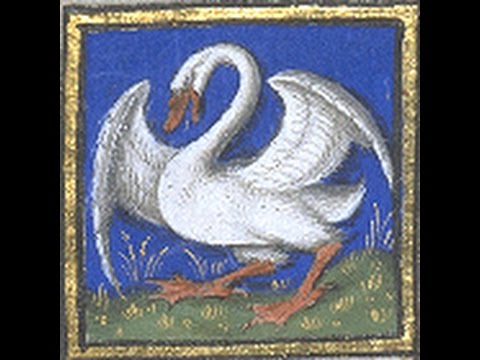 VOCATION 27 ─ La vocation de la vieillesse (vidéo catholique)